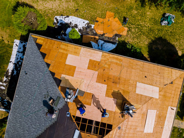 Best Roof Gutter Cleaning  in Lavon, TX